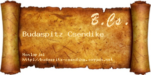 Budaspitz Csendike névjegykártya